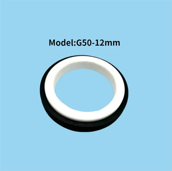 Cartridge Mechanical Seal GR-G17 Suit for SE Series Pumps Replacement Lidering GR-SE Seals
