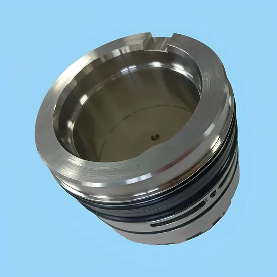 CARTRIDGE MECHANICAL SEAL NETZSCH SEAL UNS 57MM