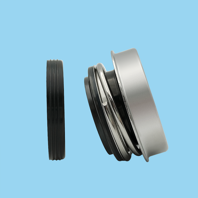 TS 700 Mechanical Seals for Pumps Pusher Seals