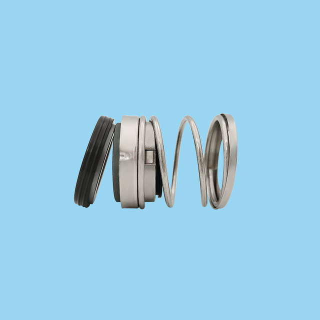 TS BIA Mechanical Seals for Pumps Pusher Seals