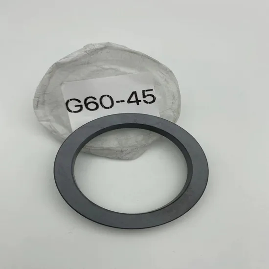Stationary Ring G60  Seals Ring  SIC Ring  Carbon Ring  for  All Kinds of  Mechanical  Seals