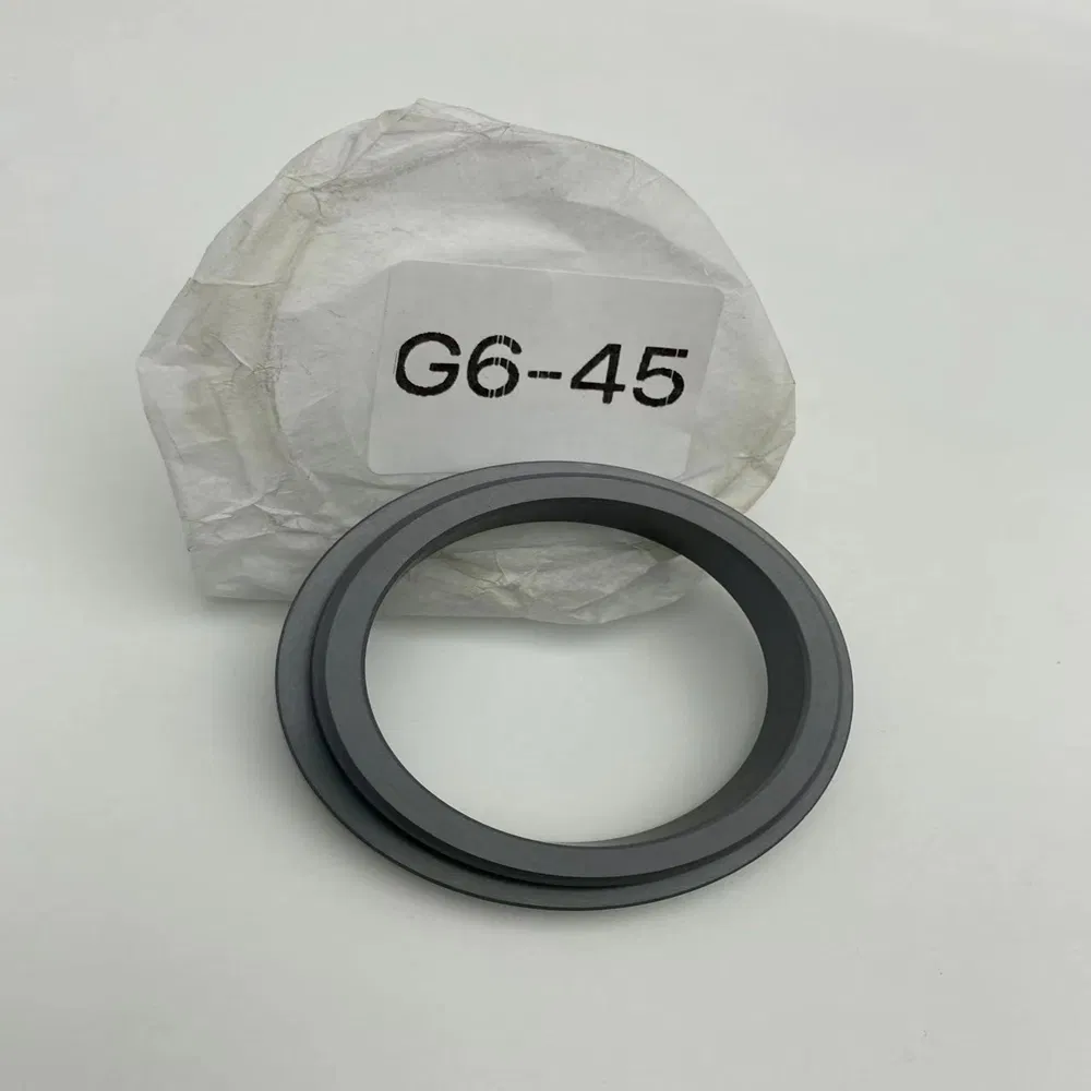 Stationary Ring G6 Seals Ring SIC Ring Carbon Ring for All Kinds of Mechanical Seals