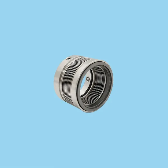Premium Quality Metal Bellow Mechanical Seals TS 85N for Chemical Pumps