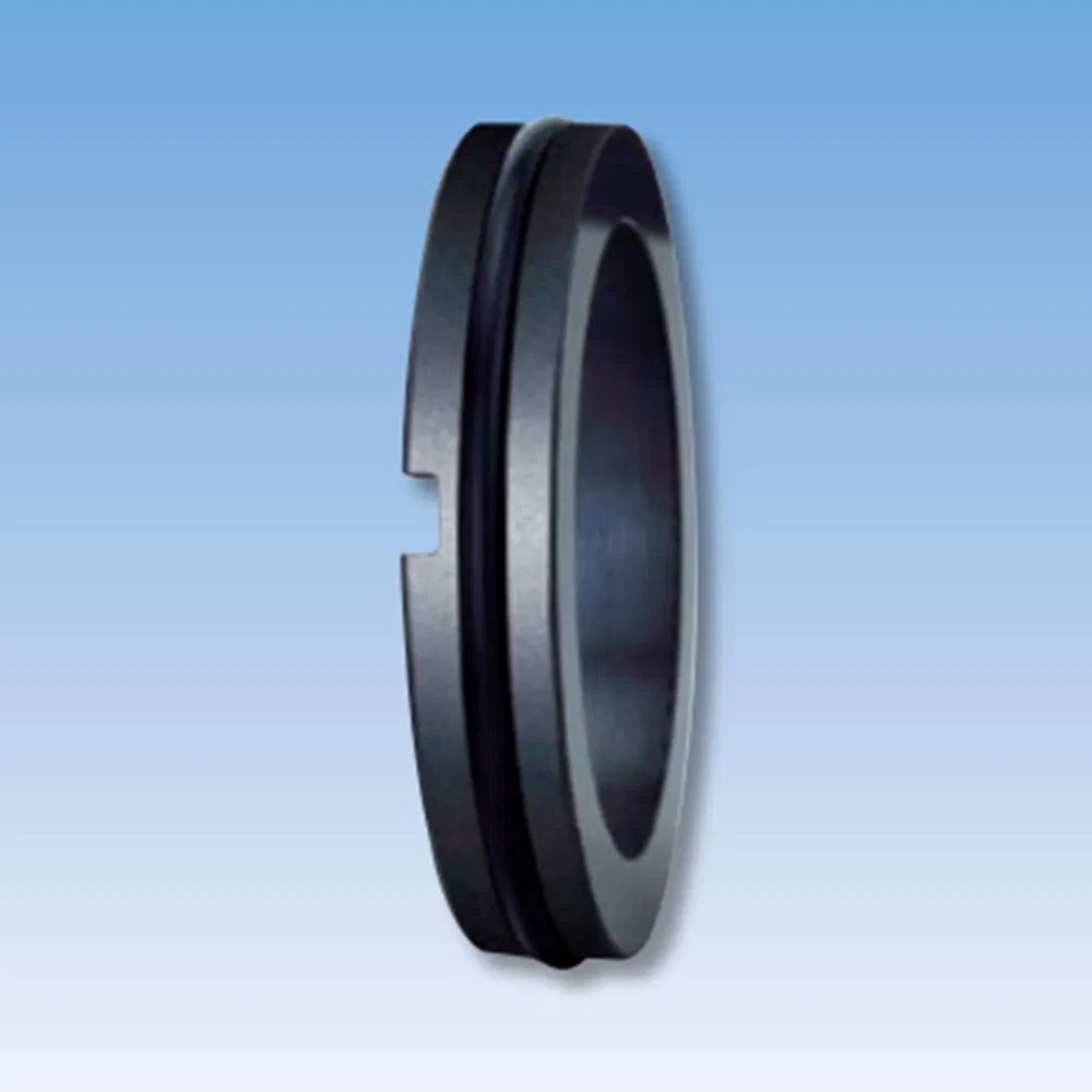 34TS C20 Mechanical Seals Seat Series for Pumps