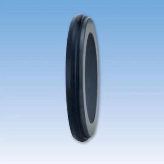 41TS L05 Mechanical Seals Seat Series for Pumps