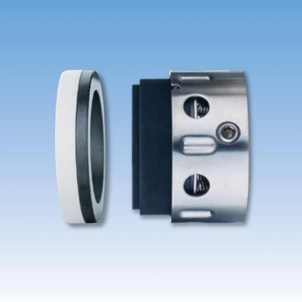 98TS PQ06 PTFE Wedge Mechanical Seals for Pumps