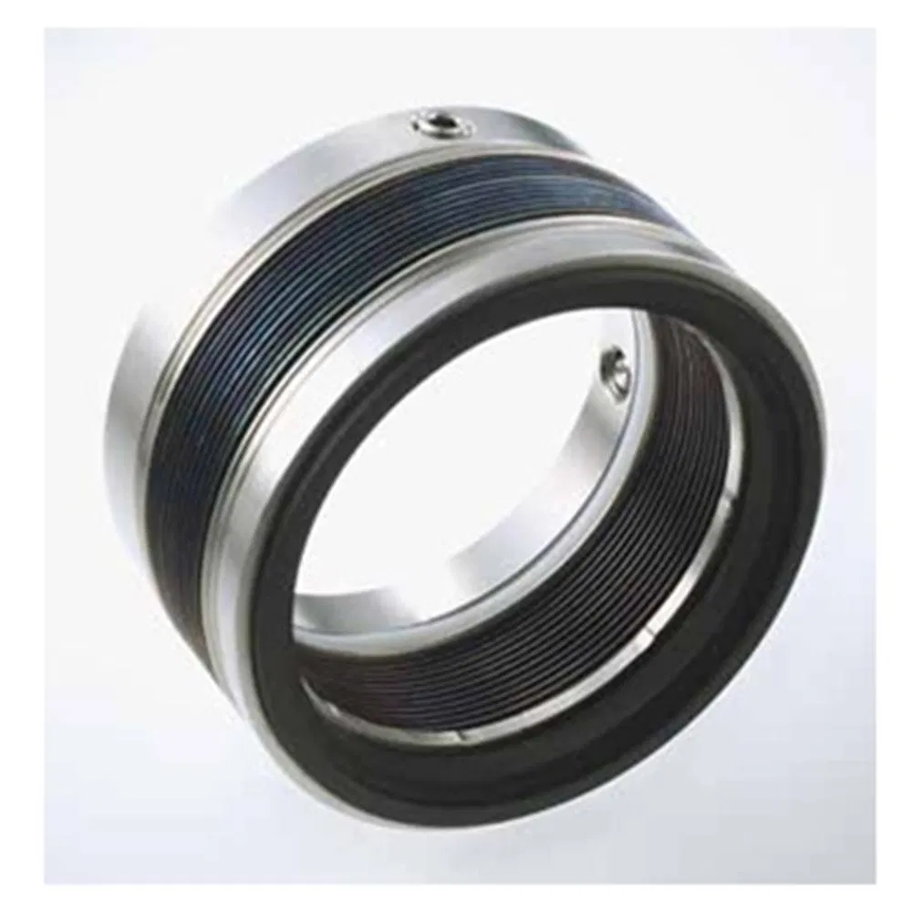 70 MBS100 Mechanical Seals for Pumps Pusher Seals