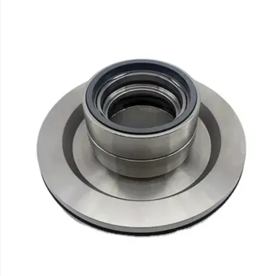 JCS1C-70-QREO-148885 Cartridge Mechanical Seal for Andritz S&ACP Pump