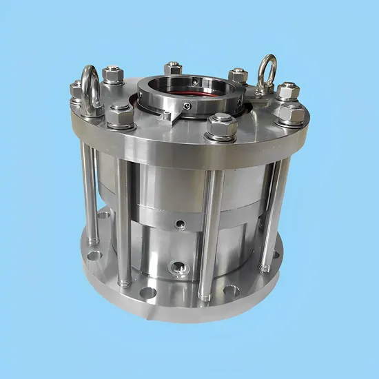 Fluiten Cartridge Mechanical Seal Type N3W140N3X DISEGNO F8109140120 GT810M1202