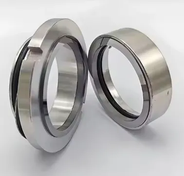 TS ZB-55 Mechanical Seal