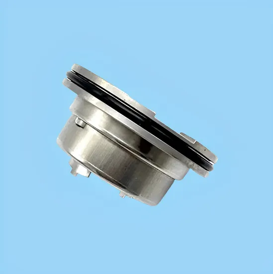 Big Brand Blackmer BM 45mm Mechanical Seal 335224 335125 332050 for Water/oil Pump