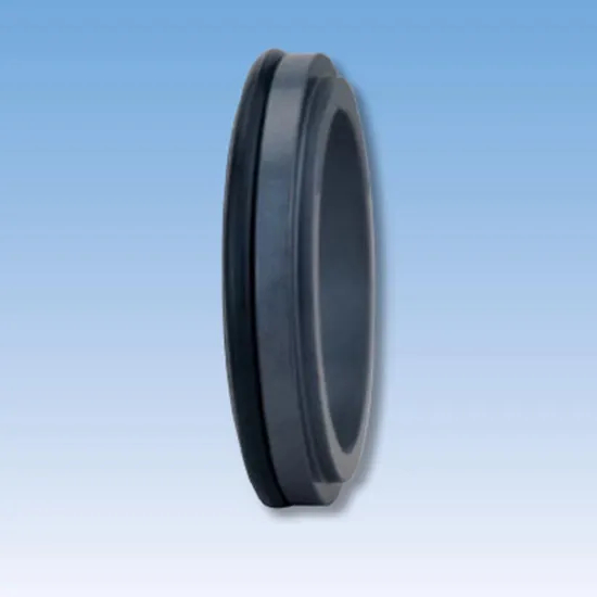 33TS C19 Mechanical Seals Seat Series for Pumps