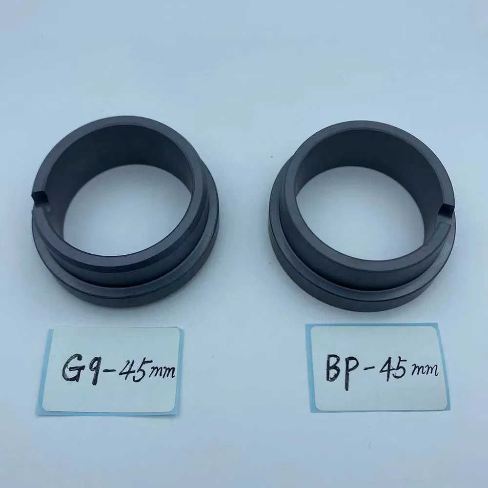 Stationary Ring G9 Seals Ring SIC Ring Carbon Ring for All Kinds of Mechanical Seals