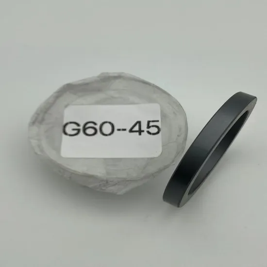 Stationary Ring G60  Seals Ring  SIC Ring  Carbon Ring  for  All Kinds of  Mechanical  Seals