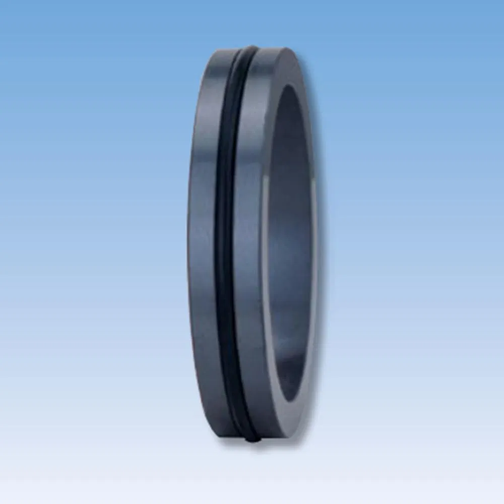 35TS C21 Mechanical Seals Seat Series for Pumps