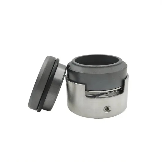 107TS PJ05 Metal Bellow Mechanical Seals for Pumps