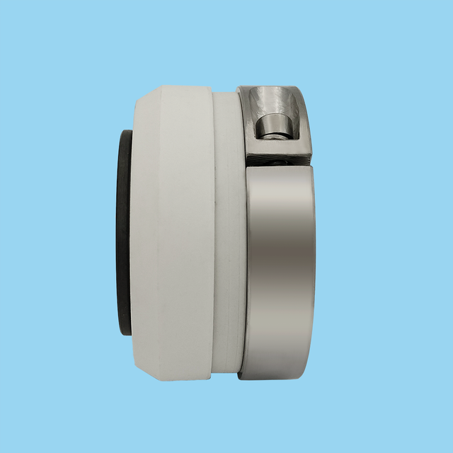10R Type Mechanical Seals for Chemical Pump Seals