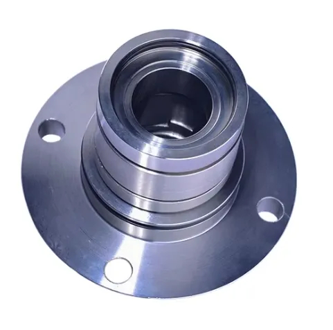 TS SE2 Mechanical Seal