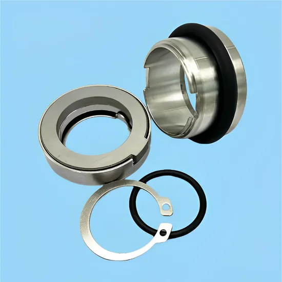 High Temperature and Corrosion Resistant OEM Mechananical Seal FS-D-U45 FS-K-L35 PUMP Kits FKL FOU 45