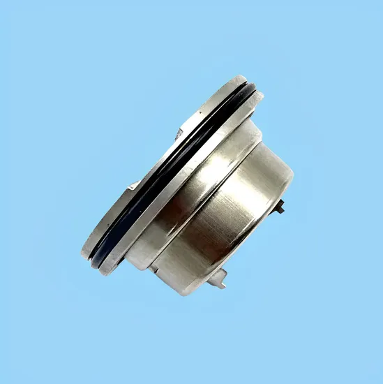 Big Brand Blackmer BM 45mm Mechanical Seal 335224 335125 332050 for Water/oil Pump