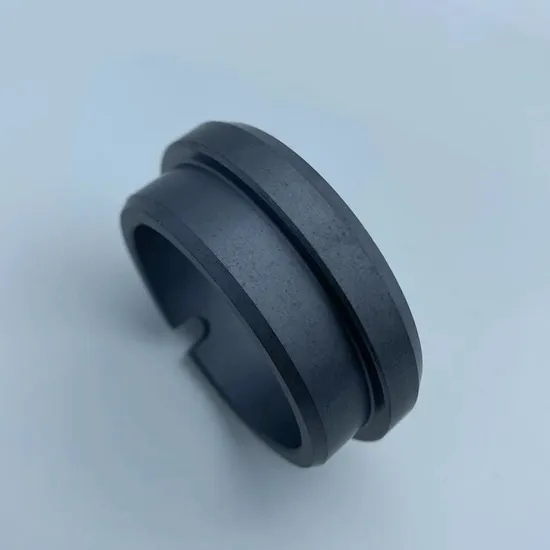 Stationary Ring G9 Seals Ring  SIC Ring  Carbon Ring  for  All Kinds of  Mechanical  Seals
