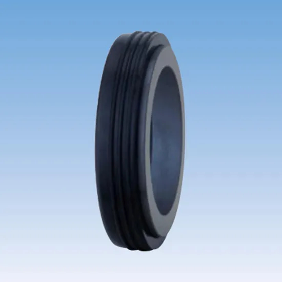 42TS L06 Mechanical Seals Seat Series for Pumps