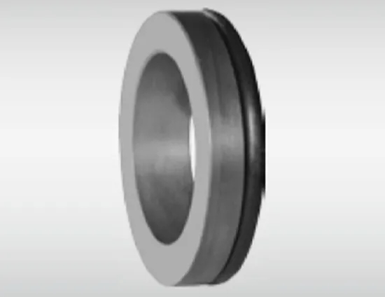 WG T24DINS Stationary Seat Seies for Pumps