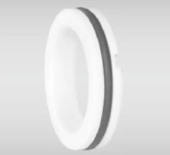 WG T21 Stationary Seat Series for Pumps