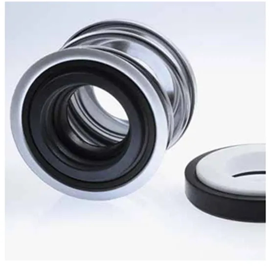 69 BT-PN Mechanical Seals for Pumps Pusher Seals