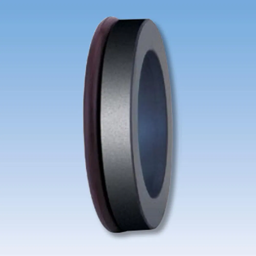 19TS C03 Mechanical Seals Seat Series for Pumps