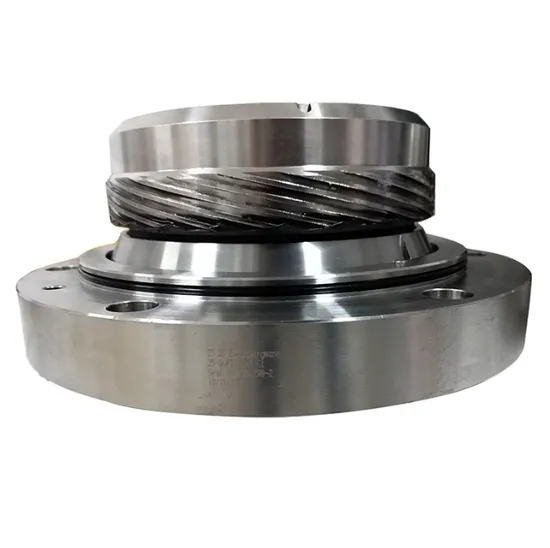TS 51-SE1 Mechanical Seal
