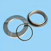 High Temperature and Corrosion Resistant Mechanical Seal FR-24 Suit for Pump SIC/TC/VIT