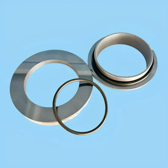 High Temperature and Corrosion Resistant Mechanical Seal FR-24 Suit for Pump SIC/TC/VIT