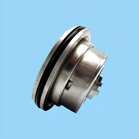Big Brand Blackmer BM 45mm Mechanical Seal 335224 335125 332050 for Water/oil Pump