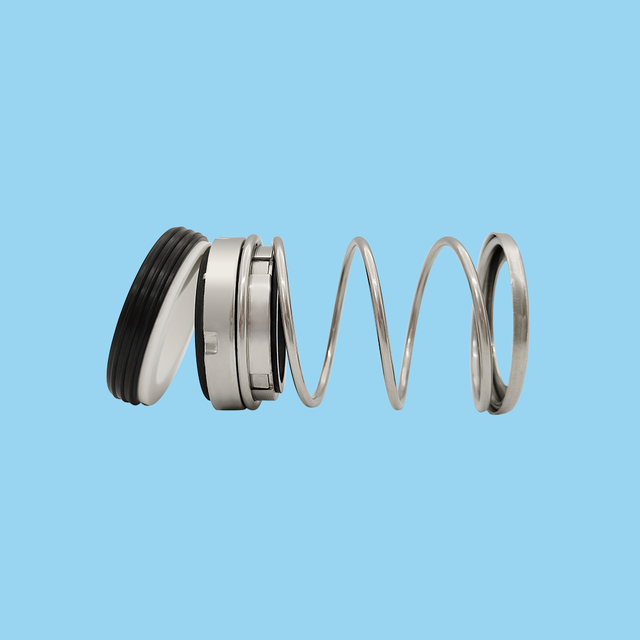 TS 24 Mechanical Seals for Pumps Pusher Seals