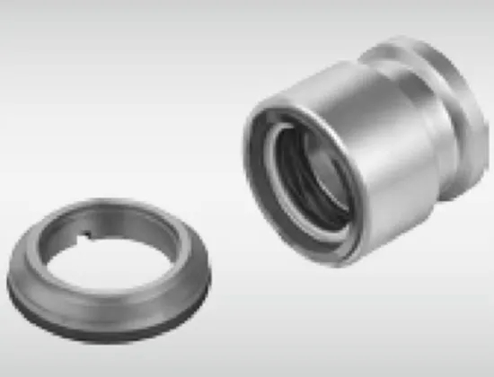 WG BS2 OEM Mechanical Seals for Pumps