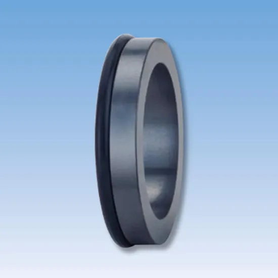 25TS C09 Mechanical Seals Seat Series for Pumps