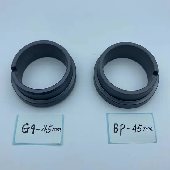 Stationary Ring G9 Seals Ring  SIC Ring  Carbon Ring  for  All Kinds of  Mechanical  Seals