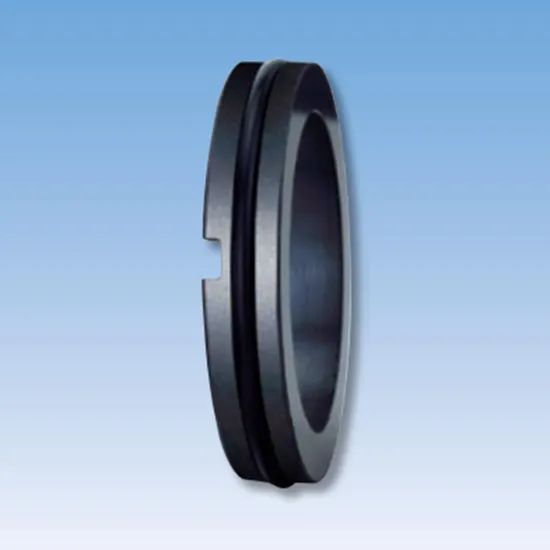 34TS C20 Mechanical Seals Seat Series for Pumps
