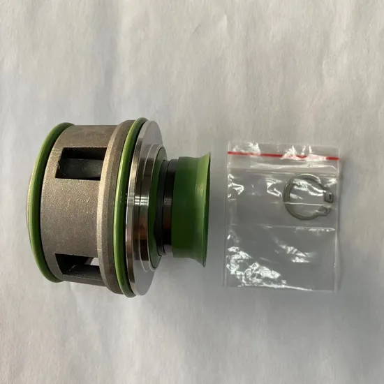 FS Mechanical Seals for Chemical Pumps