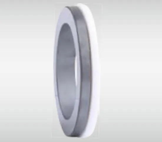 WG 16 Stationary Seat Series for Pumps