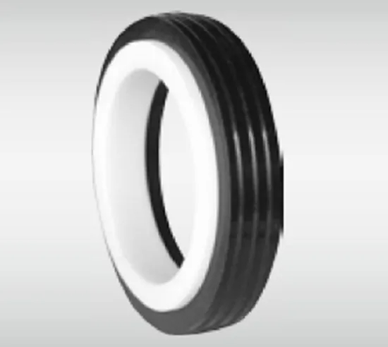 WG CT24 Stationary Seat Series for Pumps