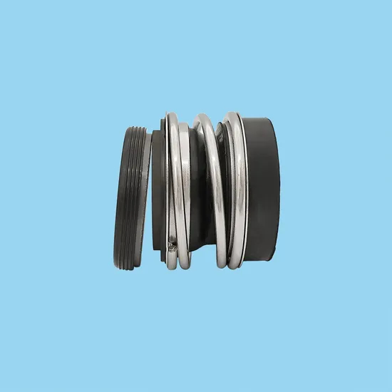 Reliable Bergmann MG12 Pump Mechanical Seals for All King of Pump