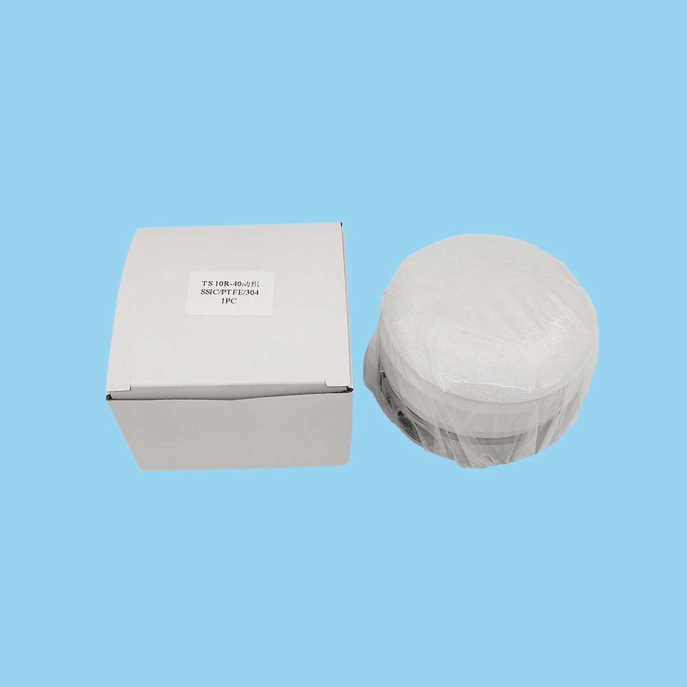 10R Type Mechanical Seals for Chemical Pump Seals