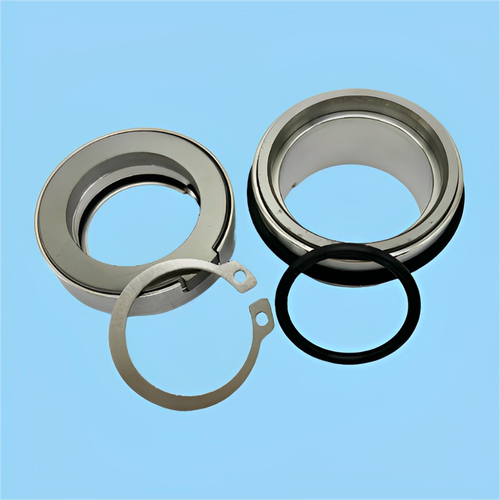 High Temperature and Corrosion Resistant OEM Mechananical Seal FS-D-U45 FS-K-L35 PUMP Kits FKL FOU 45