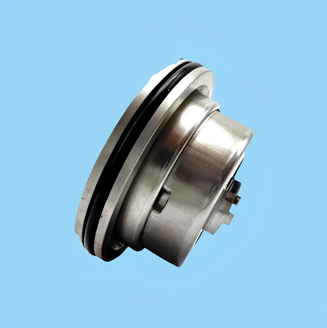 Big Brand Blackmer BM 45mm Mechanical Seal 335224 335125 332050 for Water/oil Pump
