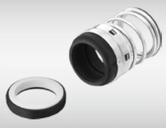 WG 1B Elastomer Bellow Mechanical Seals for Pumps