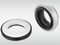 WG 301 Elastomer Bellow Mechanical Seals for Pumps