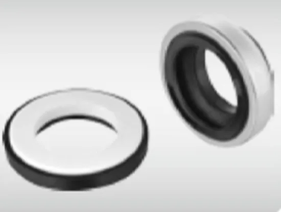 WG 301 Elastomer Bellow Mechanical Seals for Pumps