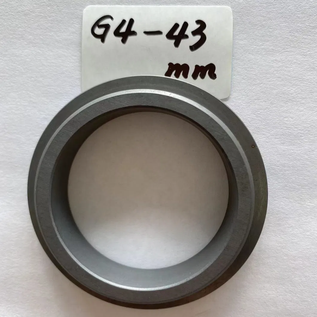 Stationary Ring G4 Seals Ring SIC Ring Carbon Ring for All Kinds of Mechanical Seals